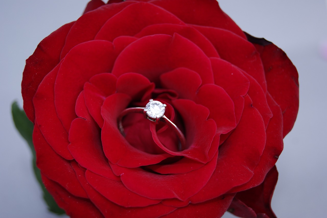 rose 